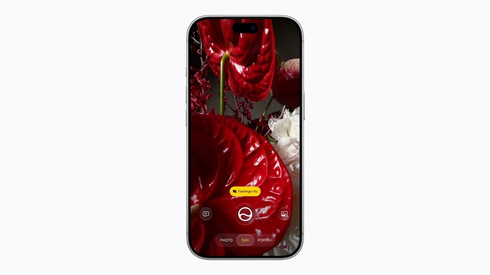Režim Siri v aplikácii Fotoaparát na iPhone 18 Pro