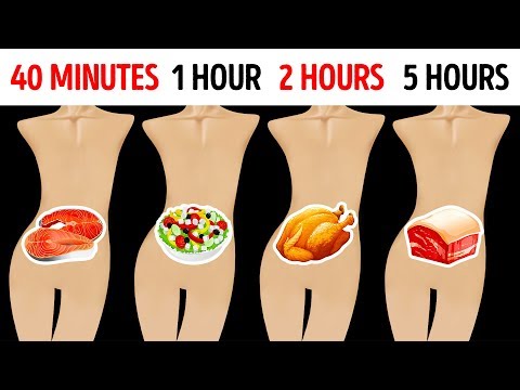 How Long Foods Stay In Your Stomach