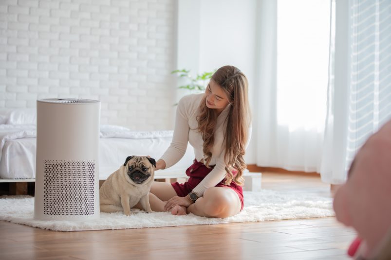 Ako vybrať najlepšiu čističku vzduchu vyberomat sk air purifier