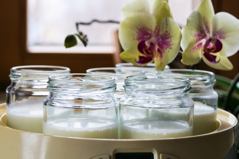 Ako vybrať najlepší jogurtovač vyberomat sk yoghurt maker