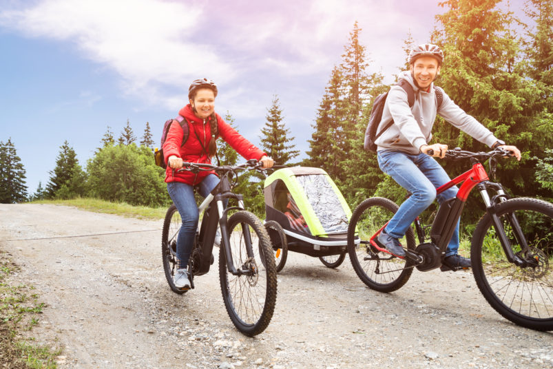 vyberomat sk bike trailer