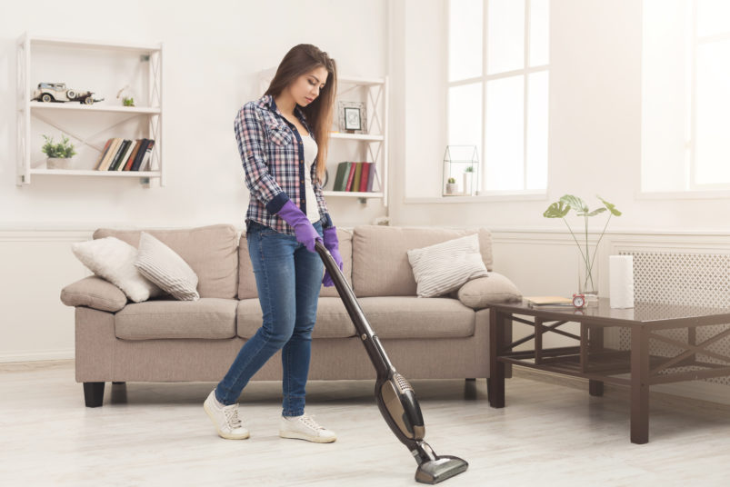 vyberomat sk rod vacuum cleaner
