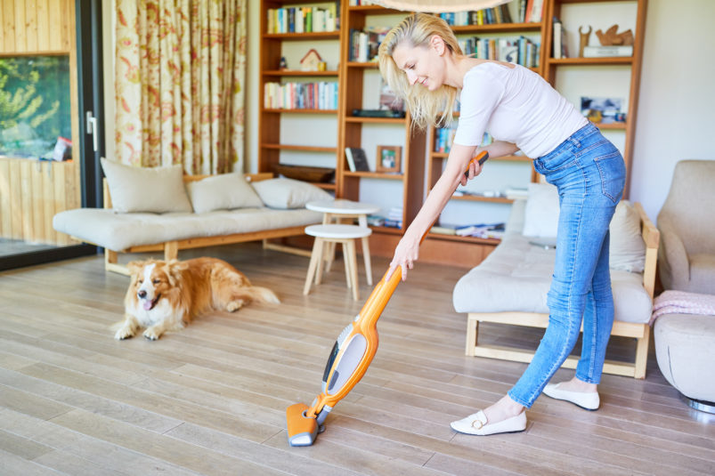 vyberomat sk rod vacuum cleaner