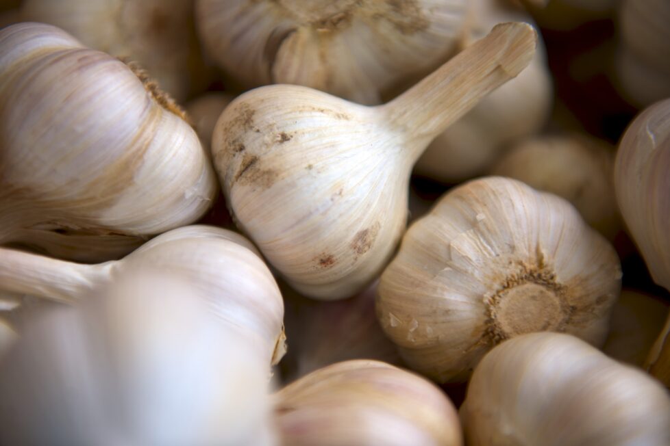 vyberomat sk garlic