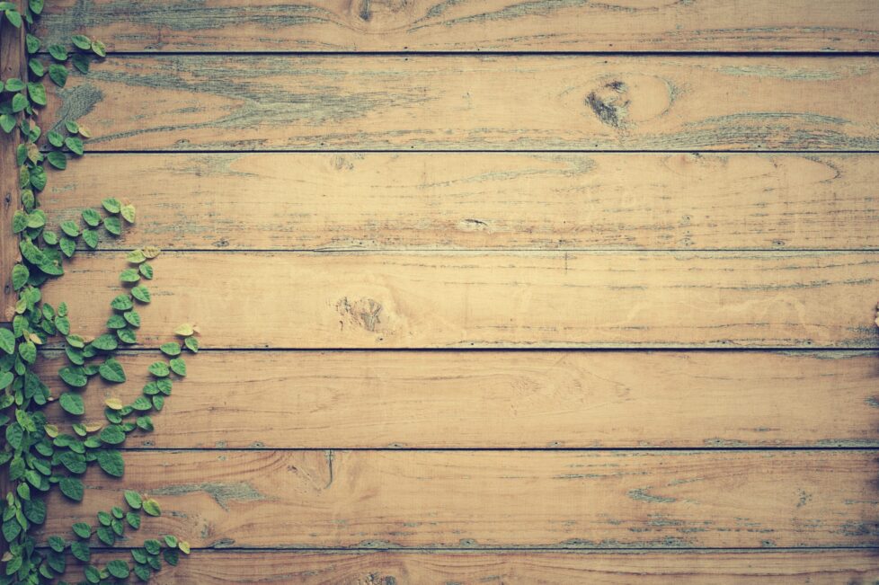 vyberomat sk pexels fwstudio